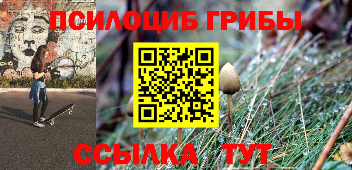 Галлюциногенные грибы Psilocybine cubensis  Вход с VPN  Похвистнево  Галлюциногенные грибы Psilocybine cubensis 